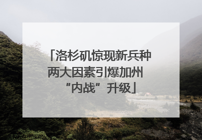 洛杉矶惊现新兵种 两大因素引爆加州“内战”升级