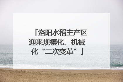 洛阳水稻主产区迎来规模化、机械化“二次变革”