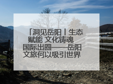 洞见岳阳丨生态赋能 文化铸魂 国际出圈——岳阳文旅何以吸引世界目光？