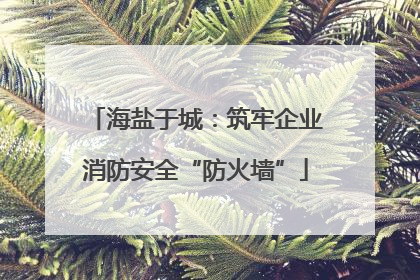 海盐于城：筑牢企业消防安全“防火墙”