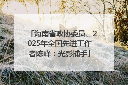 海南省政协委员、2025年全国先进工作者陈峰：光影捕手