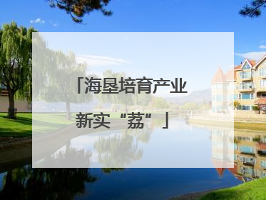 海垦培育产业新实“荔”