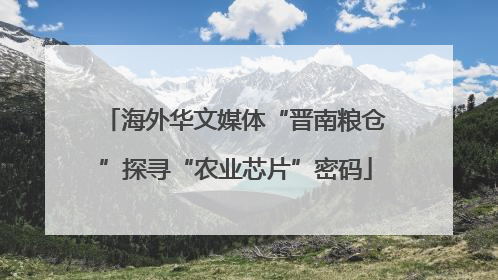 海外华文媒体“晋南粮仓”探寻“农业芯片”密码