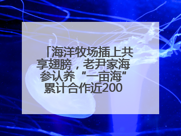 海洋牧场插上共享翅膀，老尹家海参认养“一亩海”累计合作近200企业客户