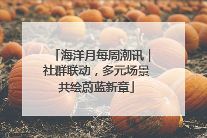 海洋月每周潮讯｜社群联动，多元场景共绘蔚蓝新章