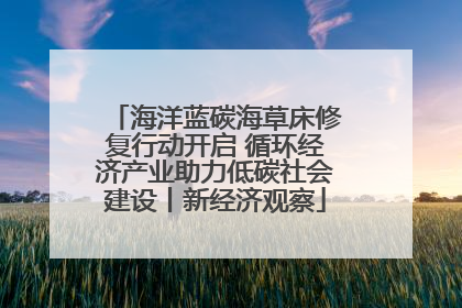 海洋蓝碳海草床修复行动开启 循环经济产业助力低碳社会建设丨新经济观察