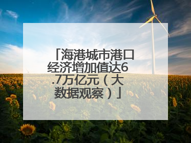 海港城市港口经济增加值达6.7万亿元（大数据观察）