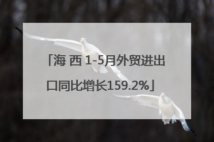 海 西 1-5月外贸进出口同比增长159.2%
