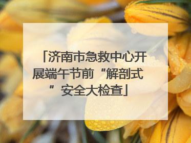 济南市急救中心开展端午节前“解剖式”安全大检查