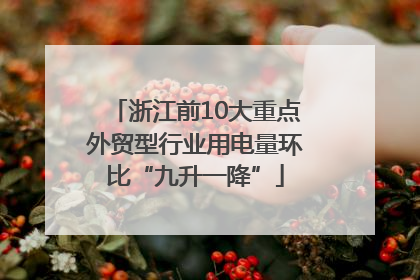 浙江前10大重点外贸型行业用电量环比“九升一降”