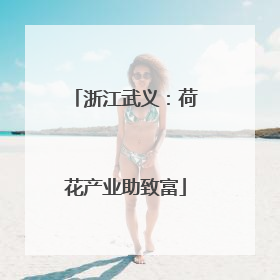 浙江武义：荷花产业助致富