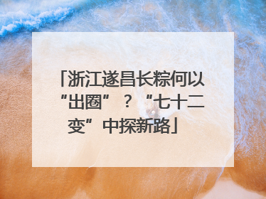 浙江遂昌长粽何以“出圈”？“七十二变”中探新路