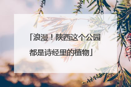 浪漫！陕西这个公园都是诗经里的植物