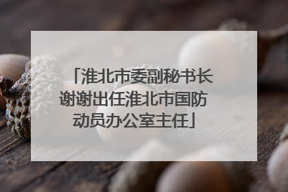 淮北市委副秘书长谢谢出任淮北市国防动员办公室主任