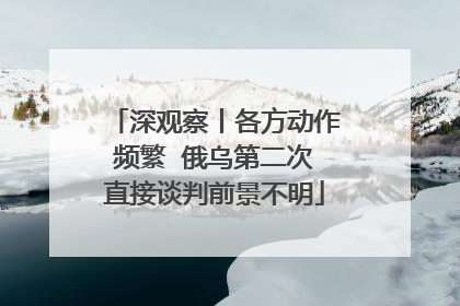 深观察丨各方动作频繁  俄乌第二次直接谈判前景不明