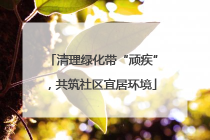 清理绿化带“顽疾”，共筑社区宜居环境