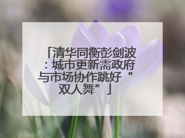 清华同衡彭剑波：城市更新需政府与市场协作跳好“双人舞”