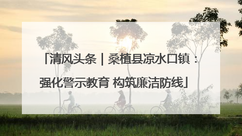 清风头条｜桑植县凉水口镇：强化警示教育 构筑廉洁防线