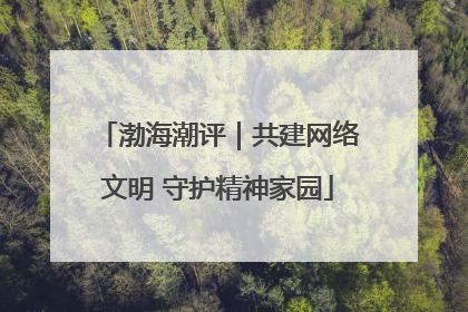 渤海潮评｜共建网络文明 守护精神家园