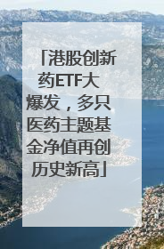 港股创新药ETF大爆发，多只医药主题基金净值再创历史新高