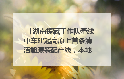湖南援藏工作队牵线中车建起高原上首条清洁能源装配产线，本地大学生成车间检验员