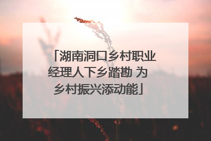 湖南洞口乡村职业经理人下乡踏勘 为乡村振兴添动能