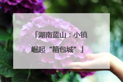 湖南蓝山：小镇崛起“箱包城”