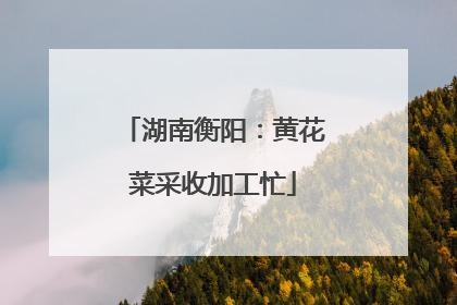 湖南衡阳：黄花菜采收加工忙