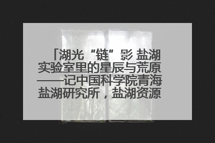 湖光“链”影 盐湖实验室里的星辰与荒原——记中国科学院青海盐湖研究所，盐湖资源化学实验室党总支书记、副主任刘忠