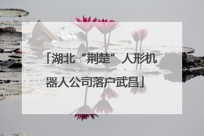 湖北“荆楚”人形机器人公司落户武昌