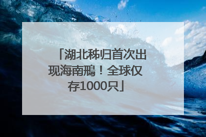 湖北秭归首次出现海南鳽！全球仅存1000只