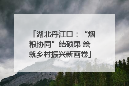 湖北丹江口：“烟粮协同”结硕果 绘就乡村振兴新画卷