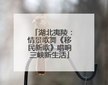湖北夷陵：情景歌舞《移民新歌》唱响三峡新生活