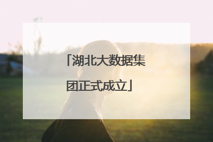 湖北大数据集团正式成立