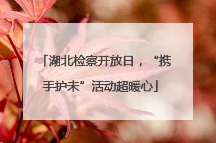 湖北检察开放日，“携手护未”活动超暖心