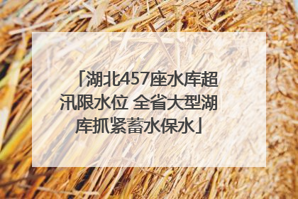 湖北457座水库超汛限水位 全省大型湖库抓紧蓄水保水