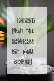 湘潭市推动“机器管招投标”向纵深发展