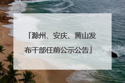 滁州、安庆、黄山发布干部任前公示公告
