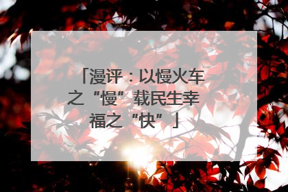 漫评：以慢火车之“慢”载民生幸福之“快”