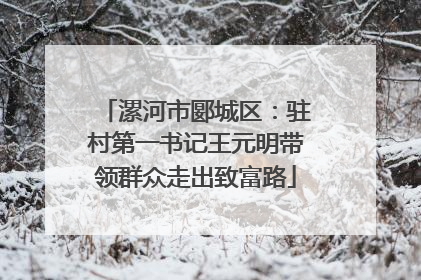 漯河市郾城区：驻村第一书记王元明带领群众走出致富路