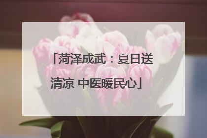 菏泽成武：夏日送清凉 中医暖民心