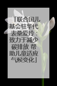 联合国儿基会驻华代表桑爱玲：致力于减少碳排放 帮助儿童适应气候变化