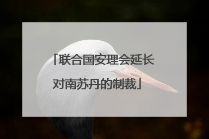 联合国安理会延长对南苏丹的制裁
