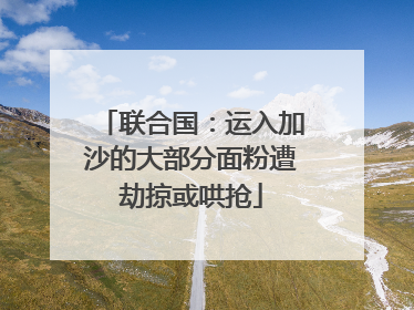 联合国：运入加沙的大部分面粉遭劫掠或哄抢