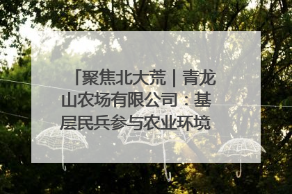聚焦北大荒｜青龙山农场有限公司：基层民兵参与农业环境综合治理显效