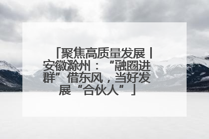 聚焦高质量发展丨安徽滁州：“融圈进群”借东风，当好发展“合伙人”