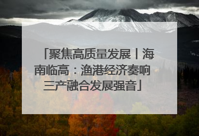 聚焦高质量发展丨海南临高：渔港经济奏响三产融合发展强音