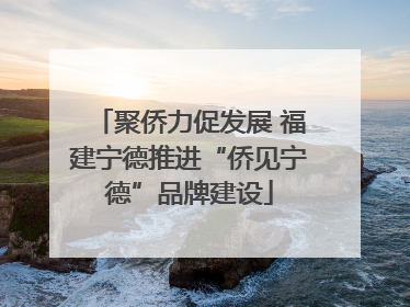 聚侨力促发展 福建宁德推进“侨见宁德”品牌建设