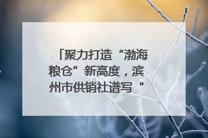 聚力打造“渤海粮仓”新高度，滨州市供销社谱写“三夏”丰收乐章