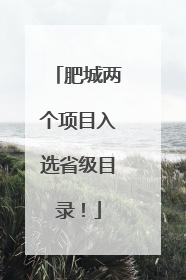 肥城两个项目入选省级目录！